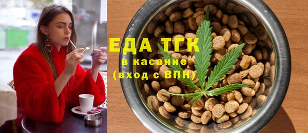 ECSTASY Алзамай