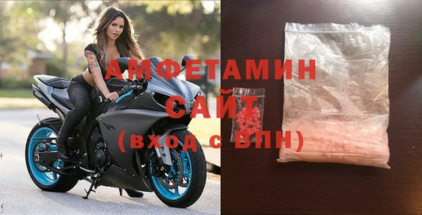 ECSTASY Алзамай