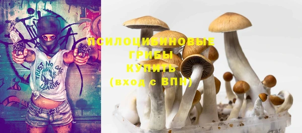 ГАЛЛЮЦИНОГЕННЫЕ ГРИБЫ Алексин