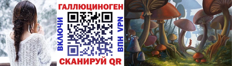 Псилоцибиновые грибы GOLDEN TEACHER  Боготол 